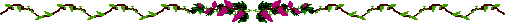 bar119.gif (2131 bytes)